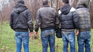Задържаха мъж от Хасково с 11 сирийци на границата