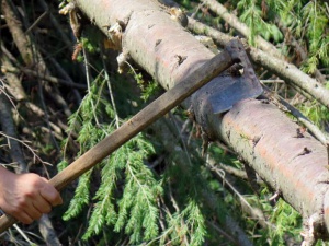 17 акта за нарушения по Закона за горите във Велико Търново за седмица