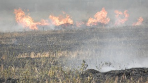 Бедствено положение: 14 екипа гасят пожара край Харманли