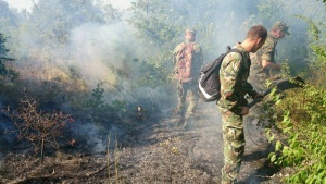 Сухопътни войски и хеликоптер се включиха в гасенето на пожара в Хасковско