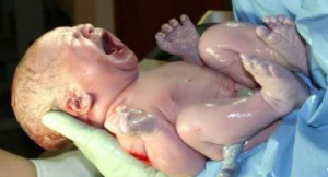 Едномесечно бебе в кома - Прокуратурата разследва опит за убийство