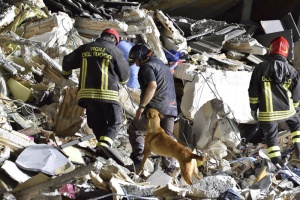 Повече от 200 човека извадени живи от срутилите се сгради
