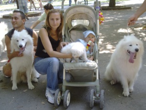 Тел Авив отбеляза деня на кучето с масажи за четириноги