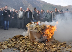 Тютюнопроизводители се събират в Конево. Готвят протести заради забавени плащания