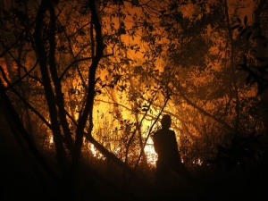 Бушуващи пожари в Индонезия, отмениха учебните занятия
