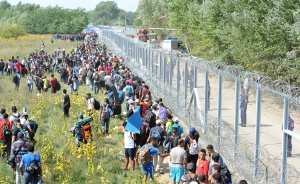 Общи патрули срещу незаконната миграция от гръцки и български граничари?