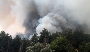 Голям пожар бушува в района на с. Българска поляна
