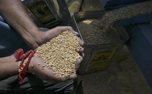 КСЗ прави изявление за реколта 2016-та