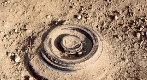 Обезвредиха 18 противопехотни мини в Сърбия