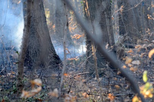 5 области в страната са с опасност от пожари