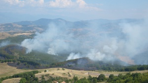 Овладени са пожарите край Малко Търново