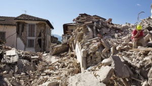 Близо 200 домашни любимци спасени след земетресението в Аматриче