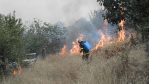 Локализираха пожара между селата Християново и Ракитница