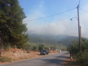 Четири пожара избухнаха на остров Тасос