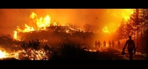 Продължават пожарите в Гърция. Обявено е бедствено положение за остров Тасос