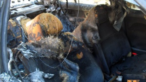 Лек автомобил изгоря в Кресненското дефиле