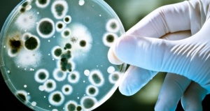 ООН се обедини около проблема със супербактериите