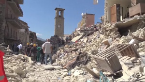 Спасиха коте 32 дни след опустошителното земетресение в Италия