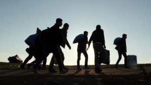 Все по-малко трафиканти на бежанци отчитат от МВР