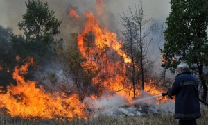 Близо 150 дка са изпепелени от пожара край Бобошево