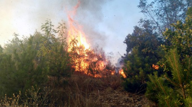 Пожарът край Малко Търново може да е предизвикан от нелегални имигранти