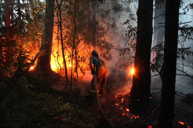 Щетите от горските пожари са 6 млн. лв. за една година