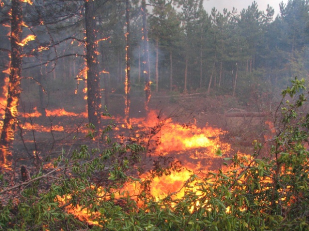 Голям пожар избухна край Бобошево