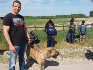 Доброволни патрули в Унгария помагат на граничните власти в опазването на границата от мигранти