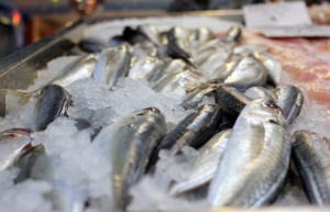 ИАРА конфискува 21 кг. риба в Петрич