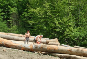 Горски от Пазарджик разкриха незаконен цех за дървесина