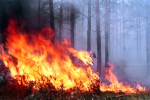 Повреда в електрически уреди и непочистени комини са основна причина за пожарите през зимния сезон