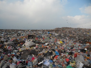 Горящите сметища в Индия са най-токсичните места на планетата