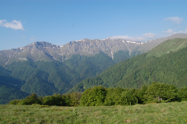 Международни експерти проверяват буковите гори на „Централен Балкан“