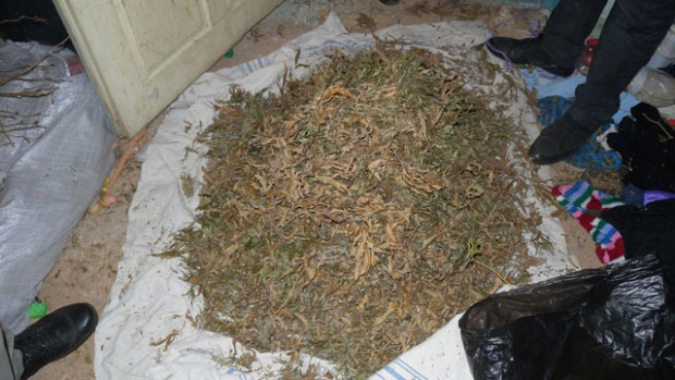 При спецакция иззеха 5 килограма сух канабис във Видин