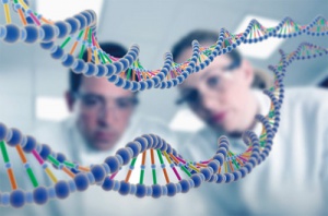 Откриха гените, които определят кога ще имаме семейство и деца