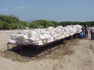 Голяма пратка кокаин конфискуваха в Мексико