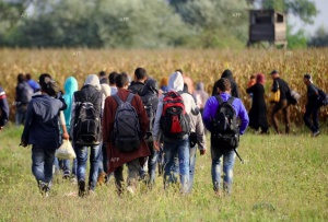 Група от около 150 мигранти тръгнаха от Белград към Хърватия