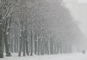 Силни снеговалежи отмениха над 70 полета в Москва