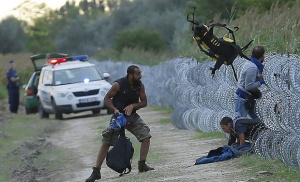 Близо 16 000 нелегални мигранти са опитали да влязат на територията на Сърбия от август насам