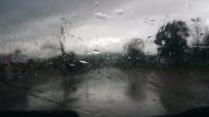 Днес е облачно, с максимални температури до 14°. Възможни са и превалявания