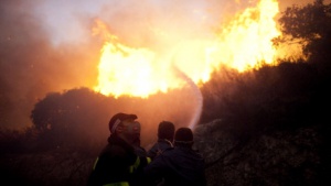 Пожарите в Израел са потушени. Няма активни огнища
