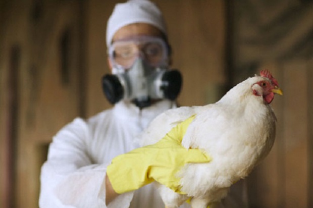 Агенцията по храните наложи превантивни мерки срещу птичи грип