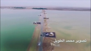 Обилни дъждове превърнаха пустиня в море (Видео)