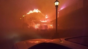 13 души са загинали при горските пожари в Тенеси