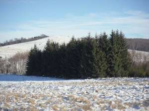 Новата седмица започва със слънце