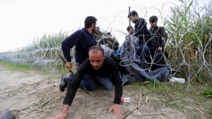 Ст. комисар Янколов: Афганистанци се опитват по няколко пъти да пресекат нелегално границата със Сърбия