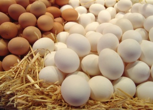 В Пазарджик конфискуваха близо 600 кг месо и 4500 яйца