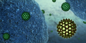 Повече от 115 заразени с хепатит има община Карлово