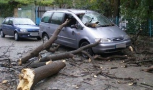 Ураганен вятър изпотроши дърветата във Варна