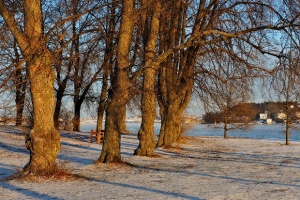 Новата седмица започва със слънце